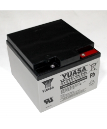 Plomo 12V 24Ah (166 x 175 x 125) cíclica batería Yuasa