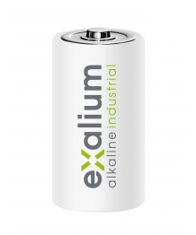 Batteria alcalina Exalium industriale LR20