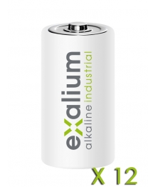 Batería alcalina Exalium Industrial LR20 caja de 12