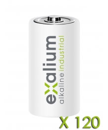 Batería alcalina Exalium Industrial LR20 cartón de 120